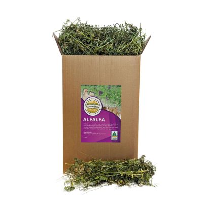 Lucerne Alfalfa Hay for Pets Rich in Nutrients Australian Barwon Hay