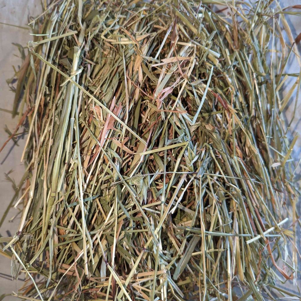 Buy Australian Oaten Hay for Rabbits, Guinea Pigs | Barwon Hay