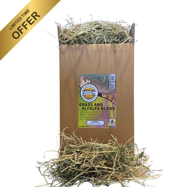 Grass Hay & Alfalfa Blend