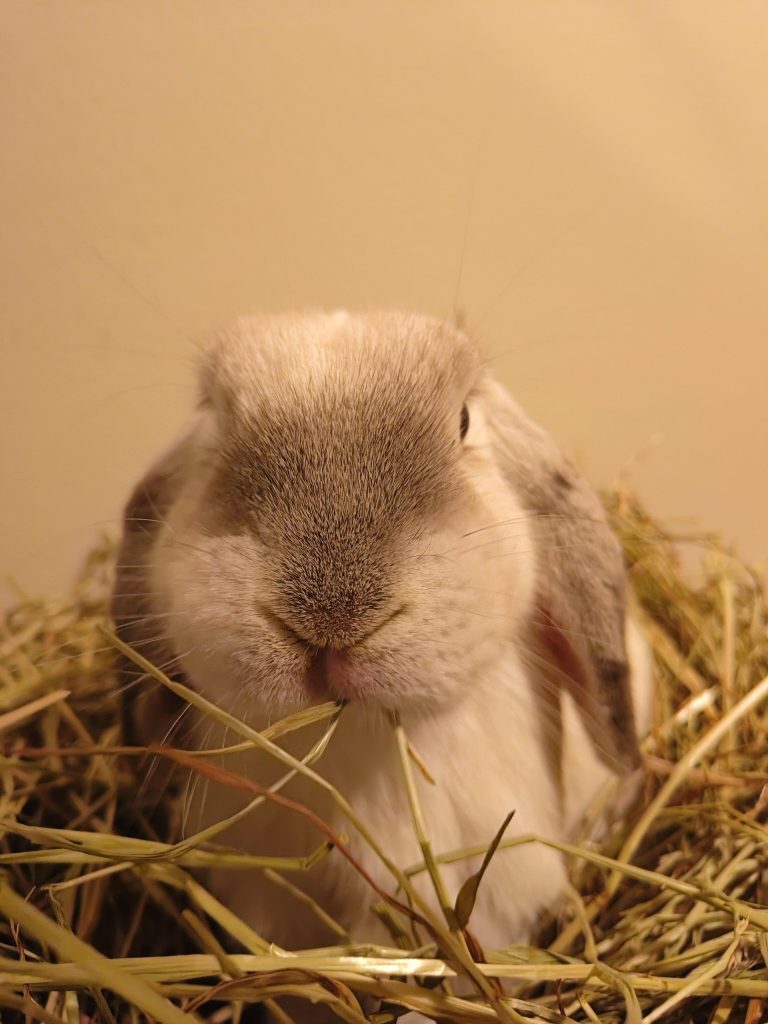 Image #1 from Nathan Yong