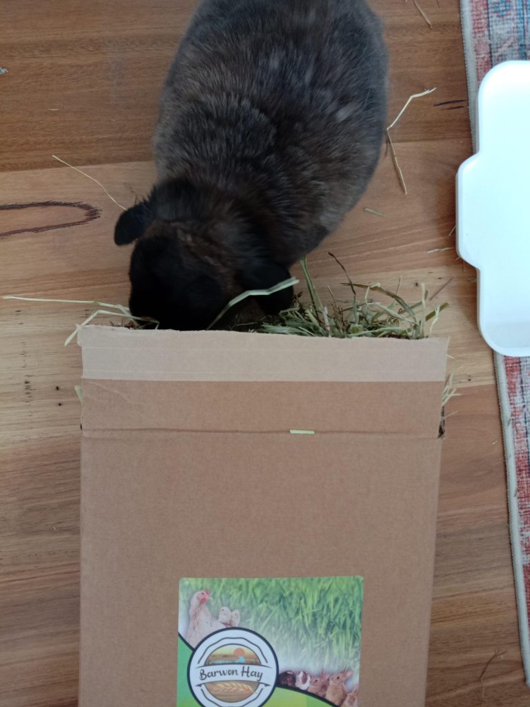 Image #1 from Claire Miller