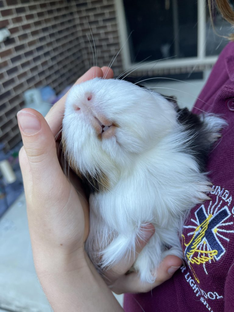 Image #1 from Meagan Gillespie