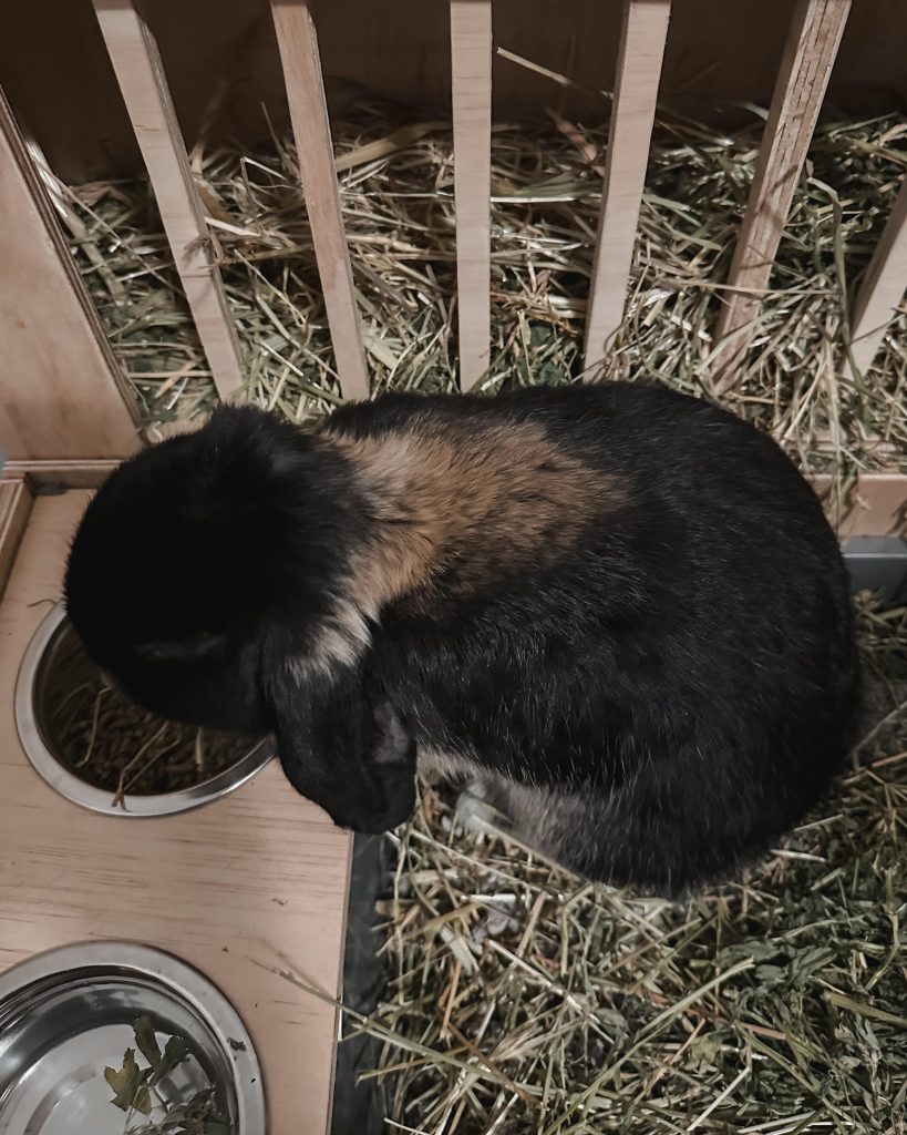 Image #1 from Georgia Gray