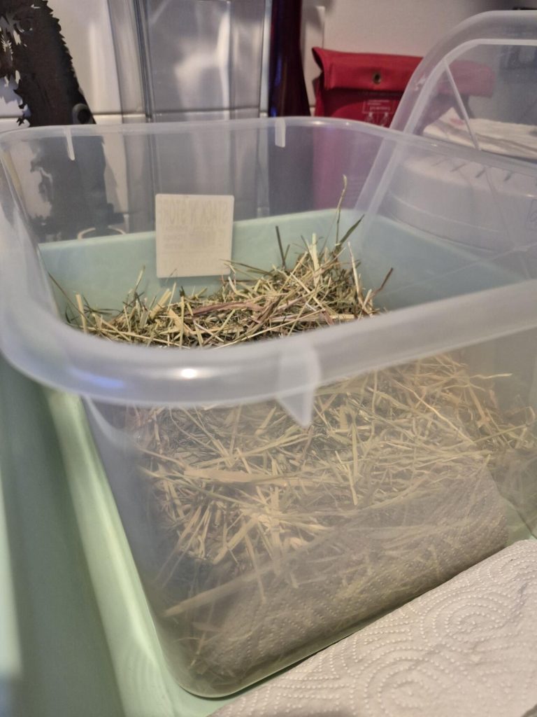 Image #3 from Isabella Aldrovandi