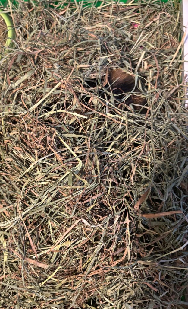 Image #1 from Jennie