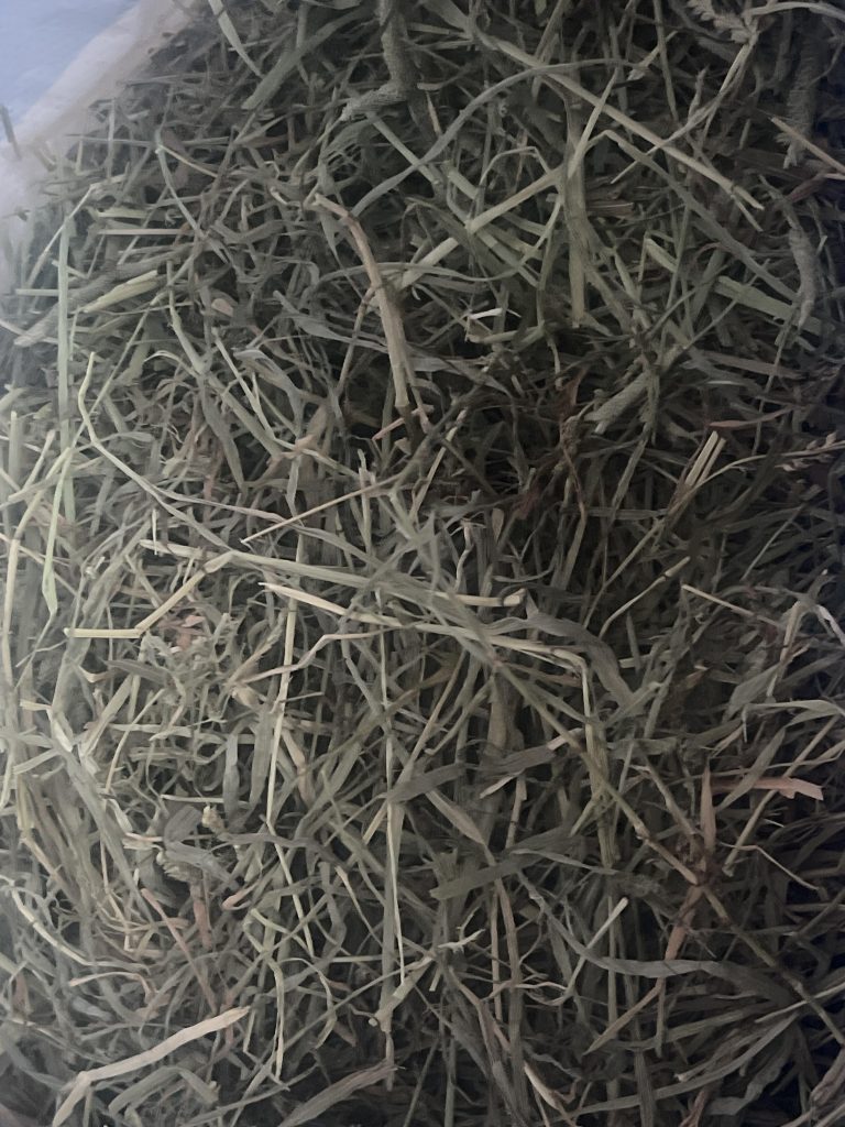 Image #1 from Janine R.