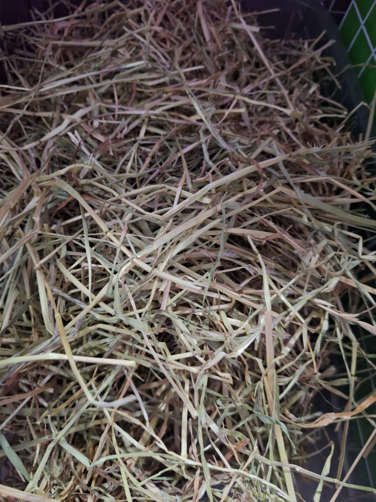 Image #1 from Rebecca