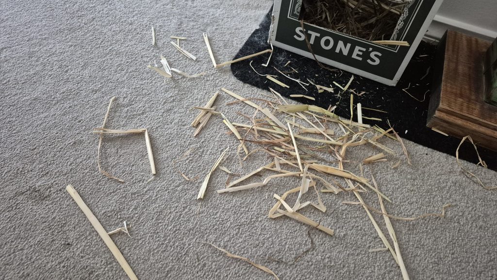 Image #3 from Isabella