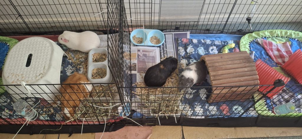 Image #1 from Bellinda Robinson