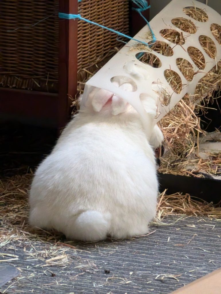 Image #1 from Miss M.