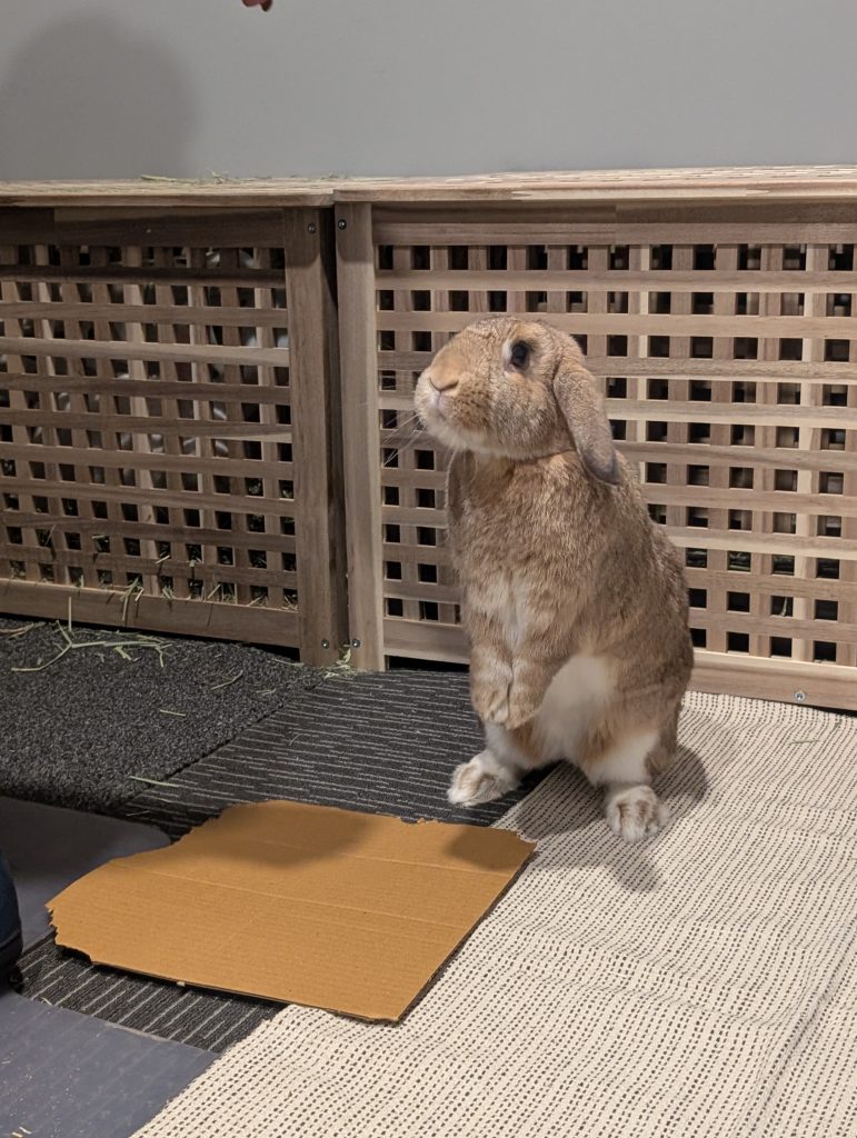 Image #2 from Miss M.