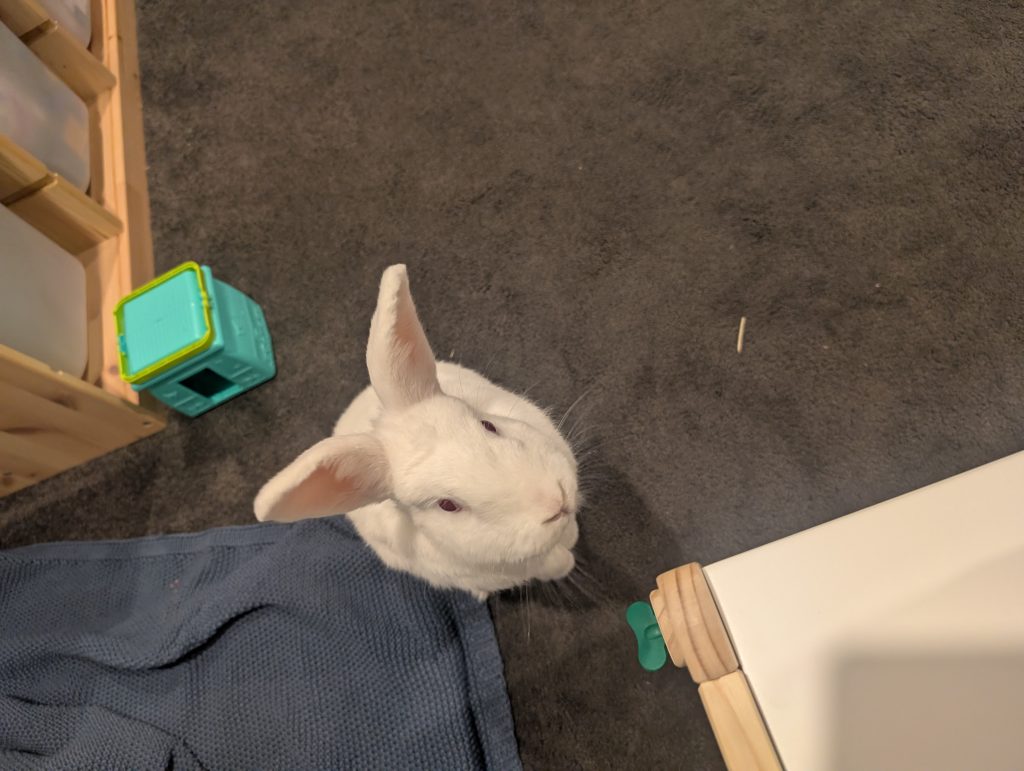 Image #1 from Miss M.