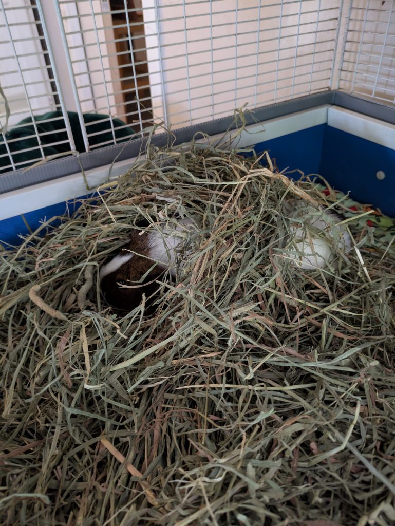 Image #1 from Christina