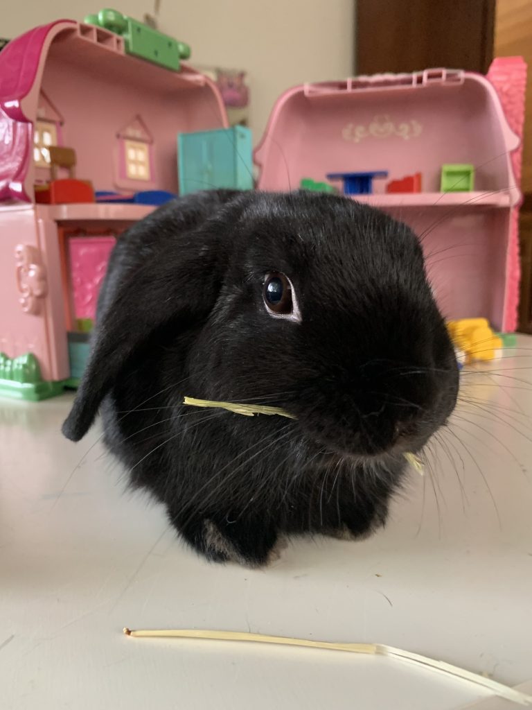 Image #1 from Anonymous