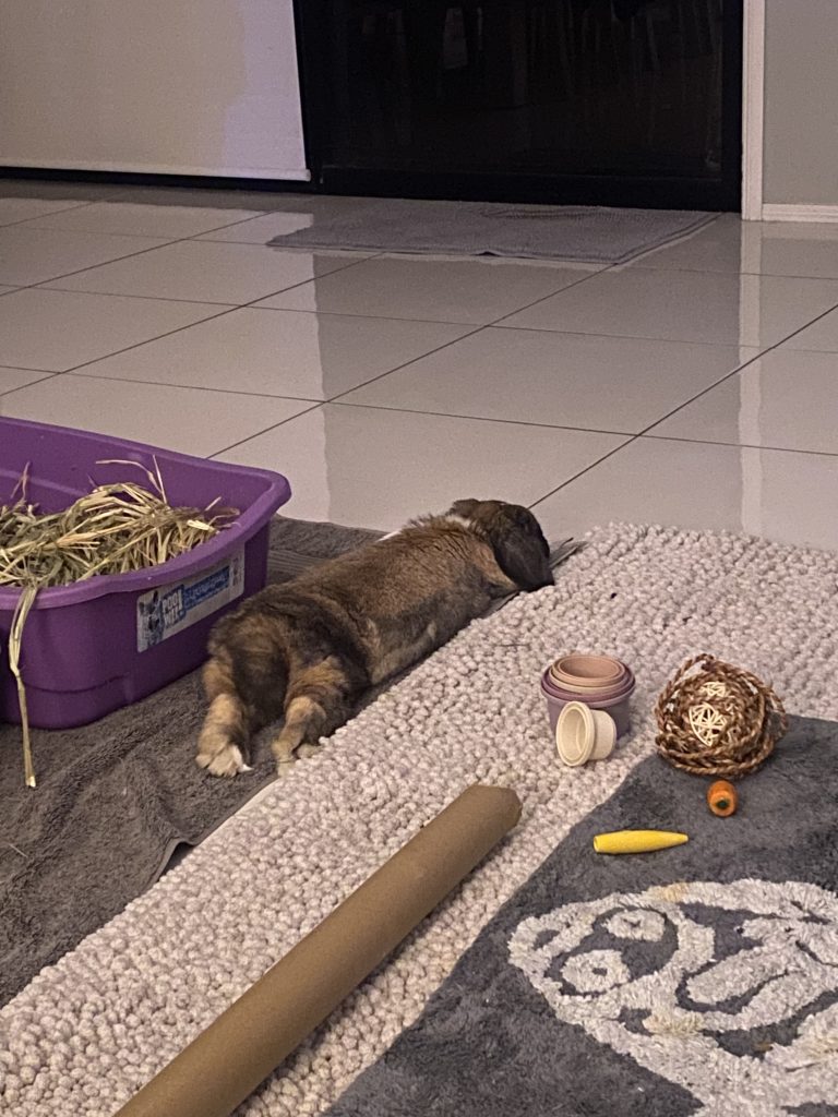 Image #1 from Vicki M.