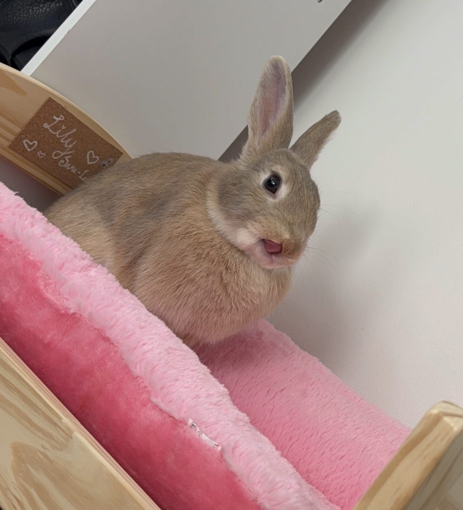 Image #1 from Maddie