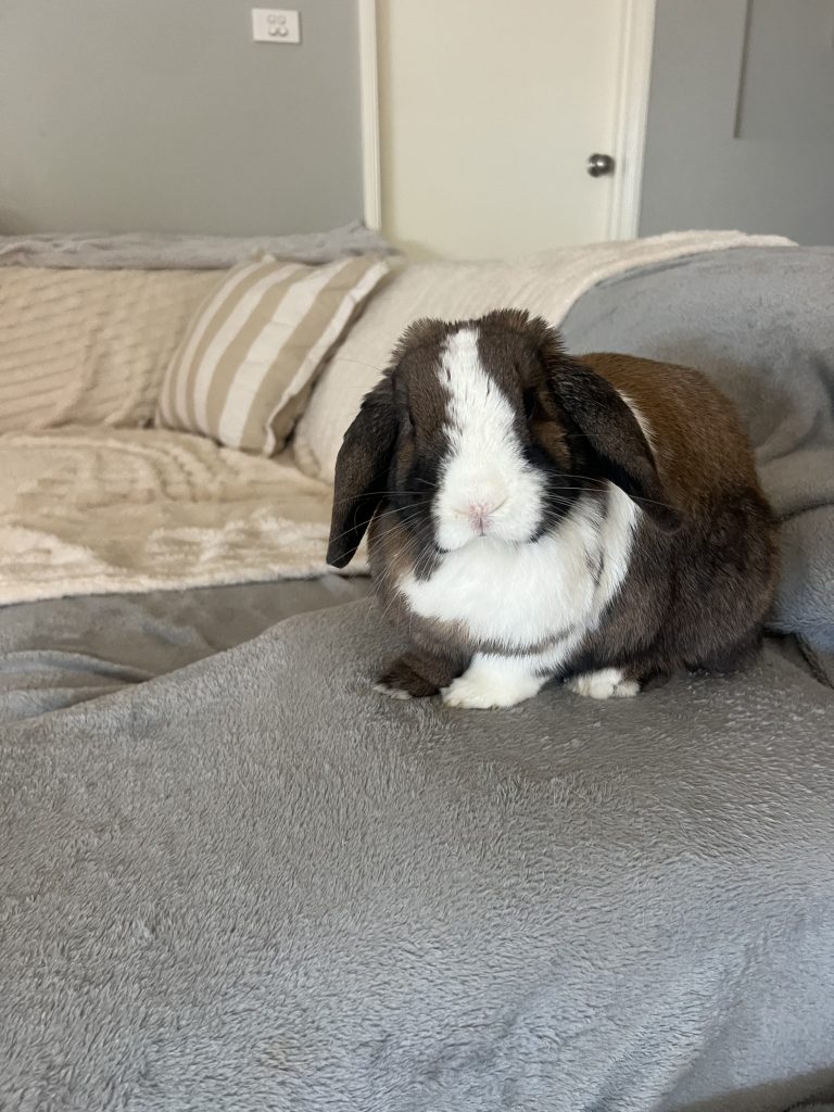 Image #1 from Vicki M.