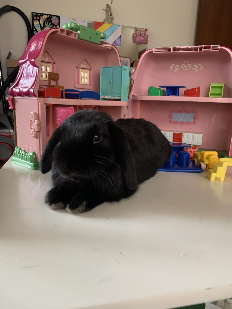 Image #1 from Anonymous