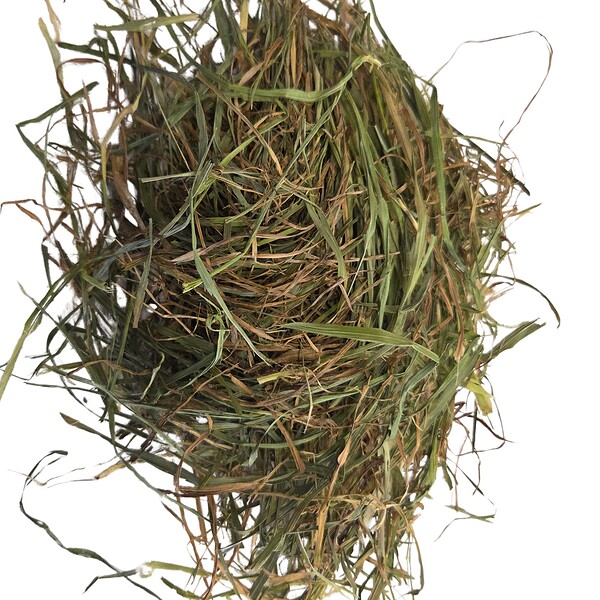 Timothy Hay - Second Cut - Image 3