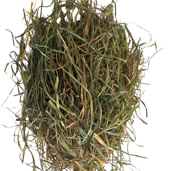 Timothy Hay - Second Cut - Image 4