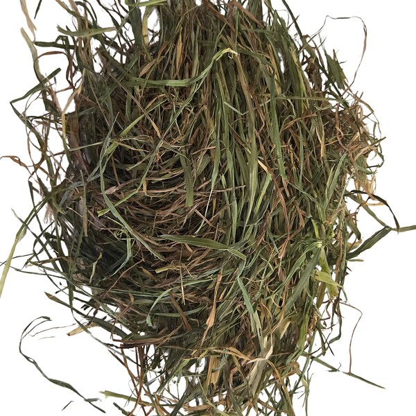 Timothy Hay - Second Cut - Image 5